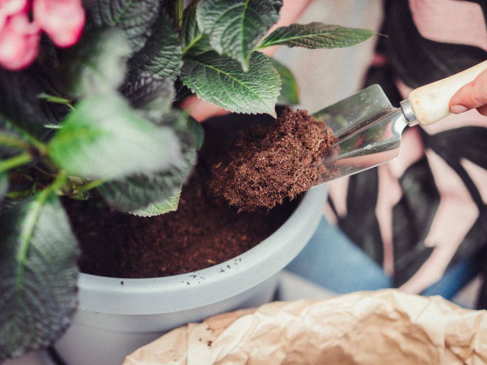 Voorjaarsklusjes in de tuin