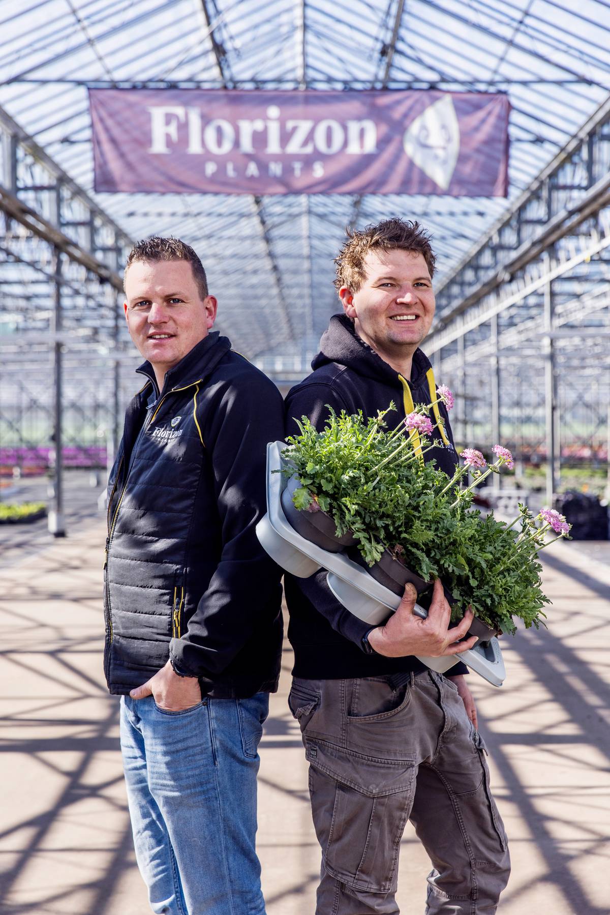 Kwekers van Florizon perkplanten