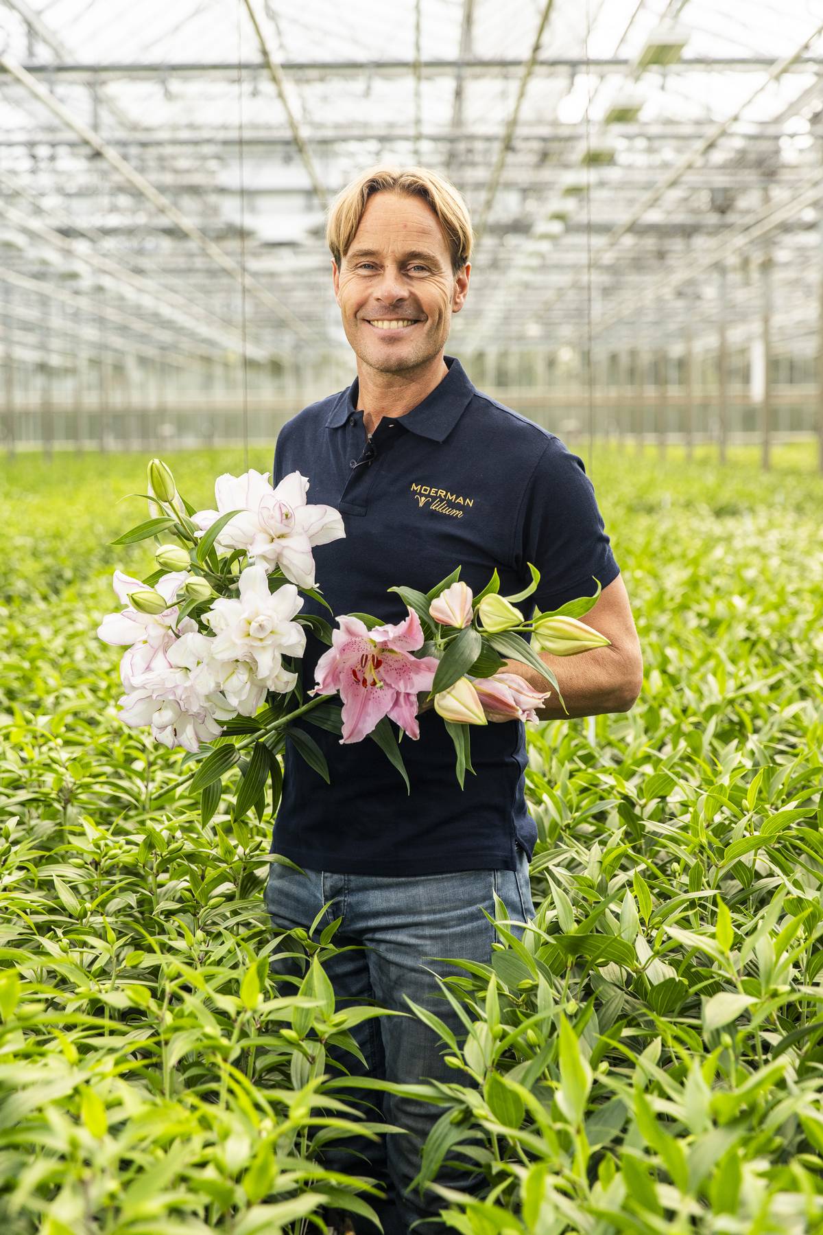 Moerman Lillys