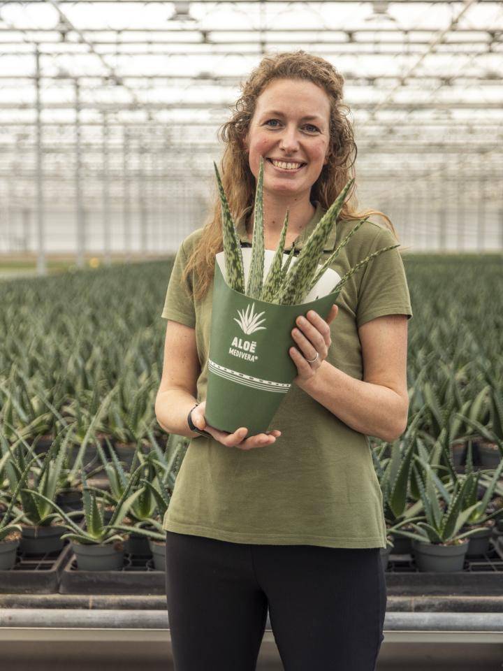 20240228-BBH-AmigoPlant-24-Web