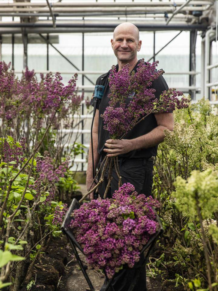 Seringen specialist