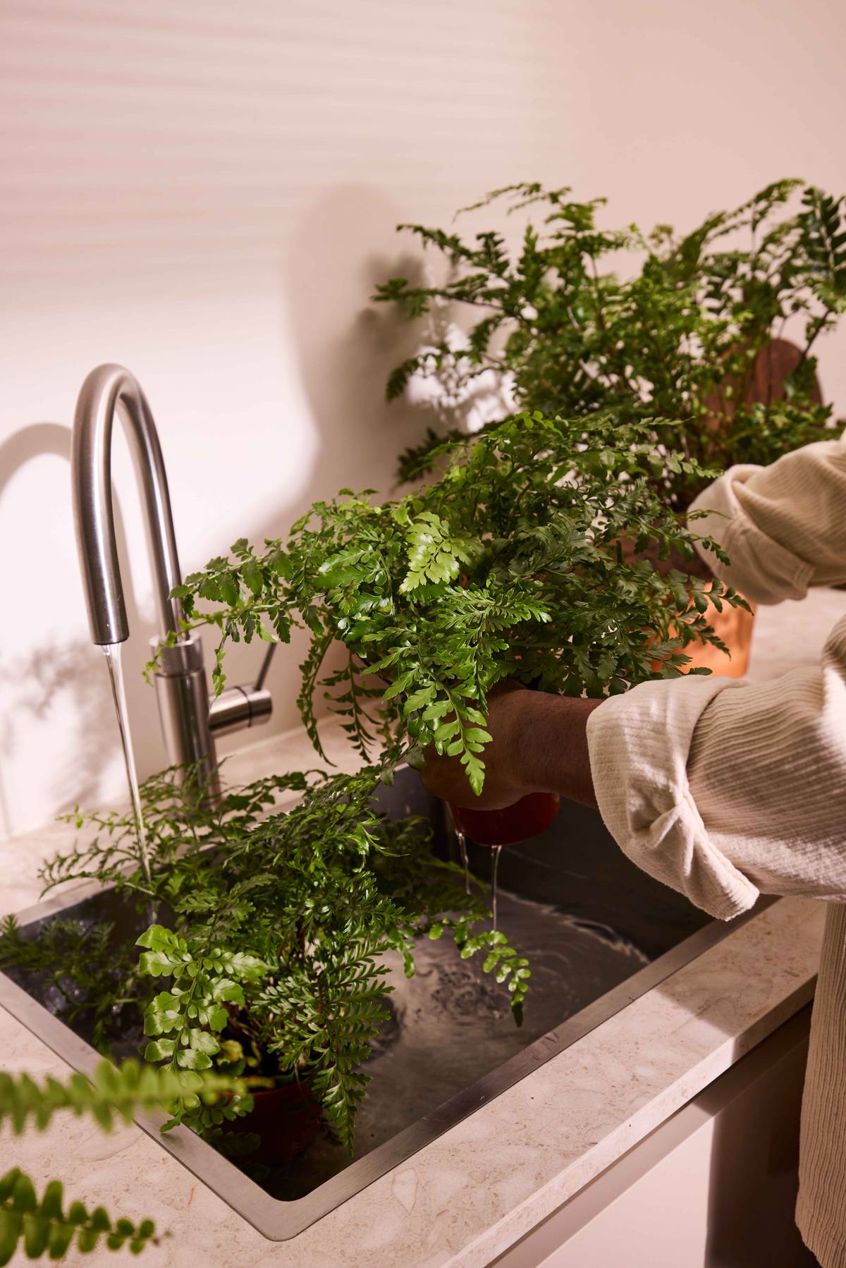 250103_Bloemenbureau_day-3_shot-08_143