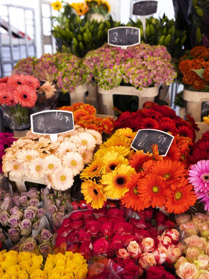 Bloemen