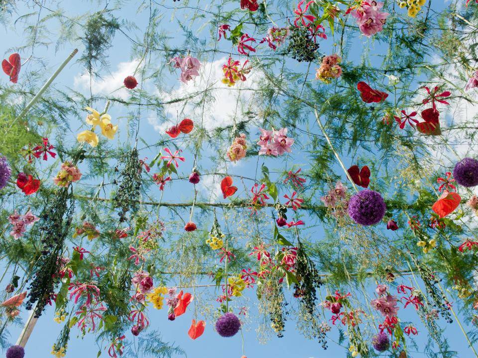 Aalsmeer Flower Festival