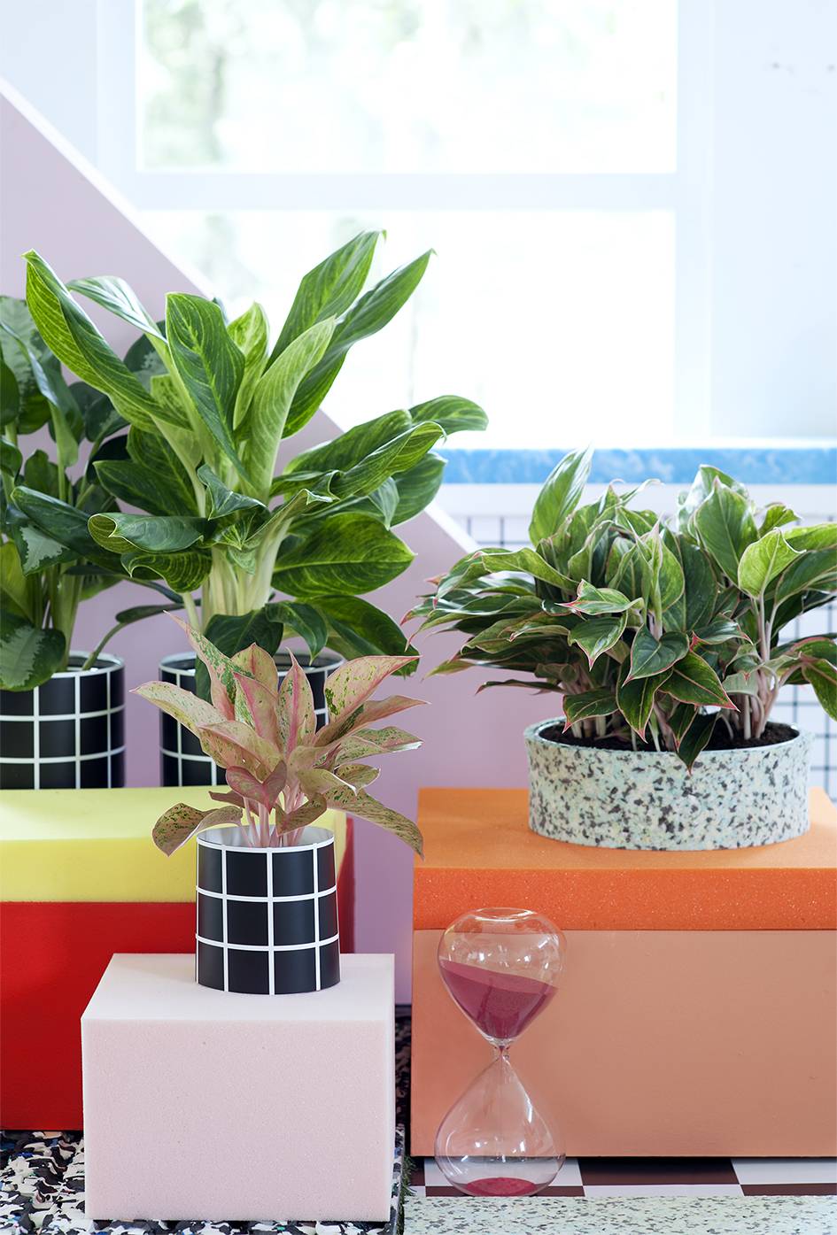 Aglaonema Mooiwatplantendoen.nl - eab9038a-5510-421e-a646-48a57ce3ea9d
