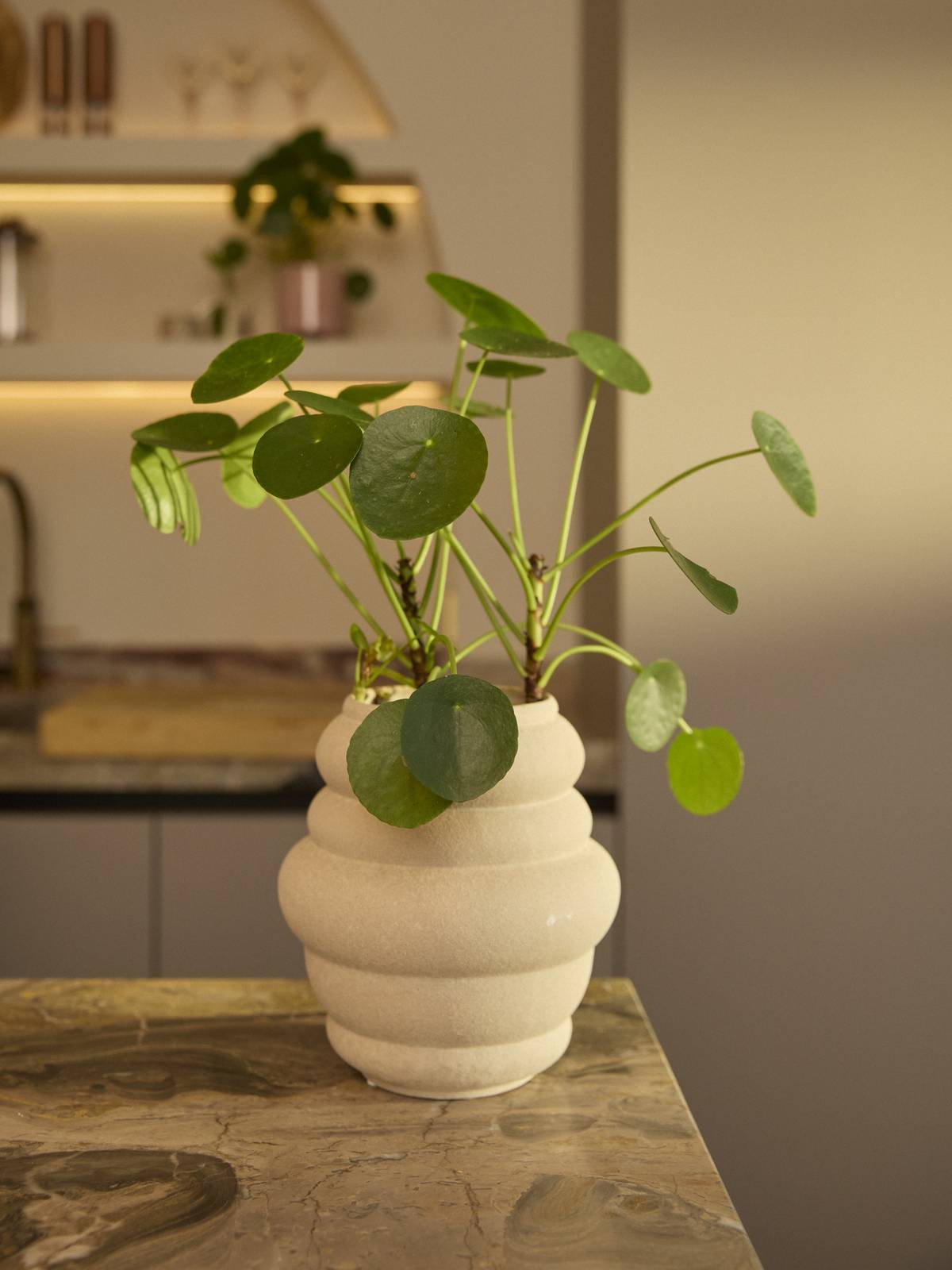 Pannenkoekenplant (Pilea peperomioides) in een beige, gegolfde pot op een marmeren aanrechtblad in een moderne keuken