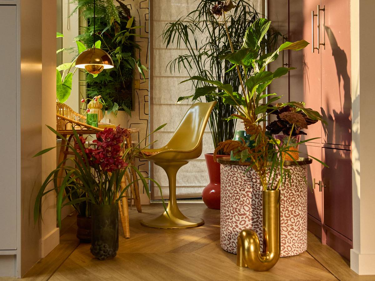Kleine ruimte kamerplanten