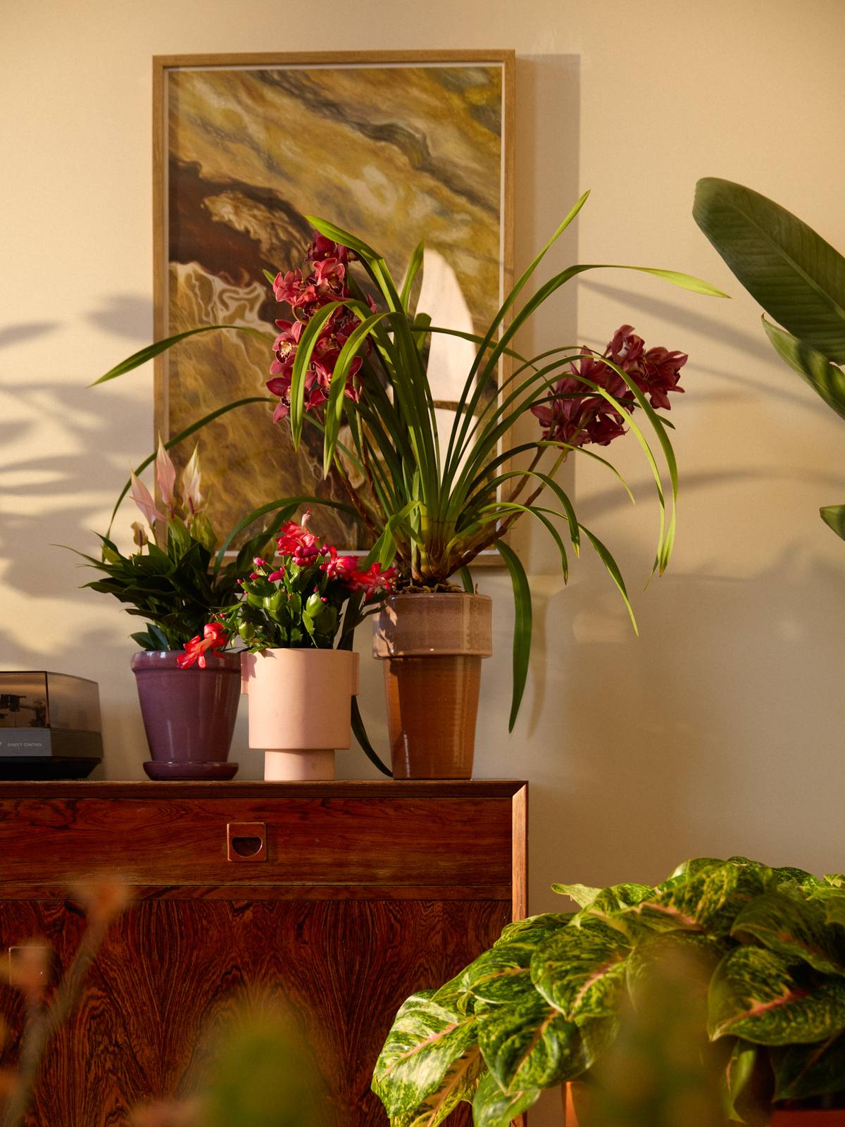 Planten in potten