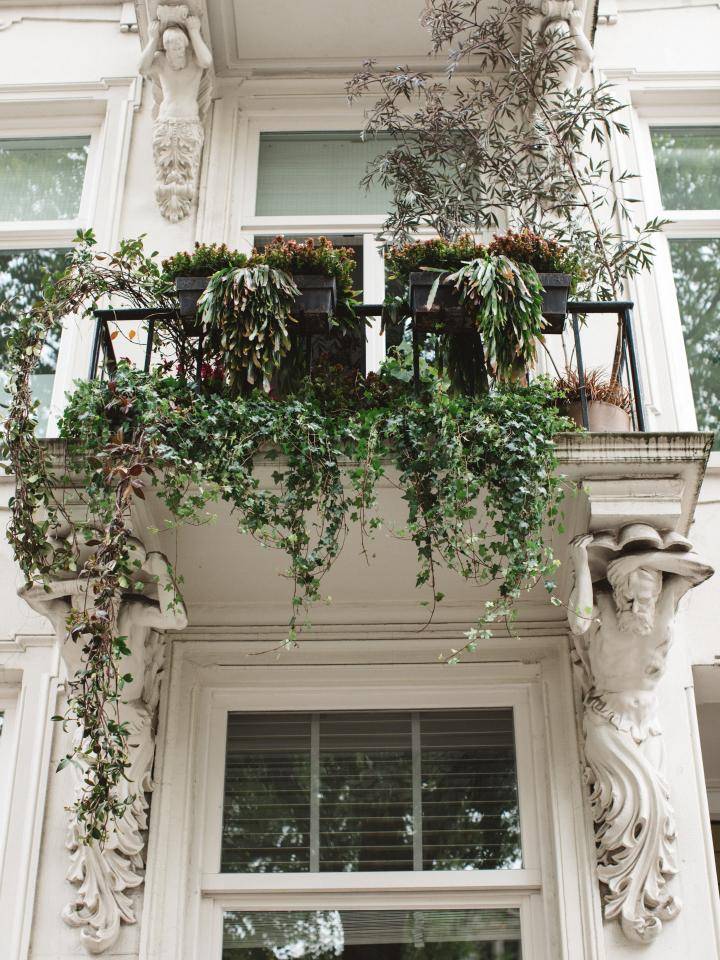 BBH Street plants-40
