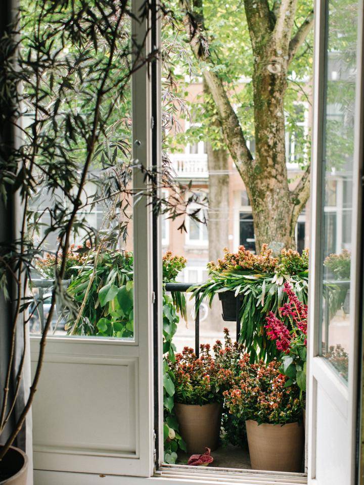 BBH Street plants-42