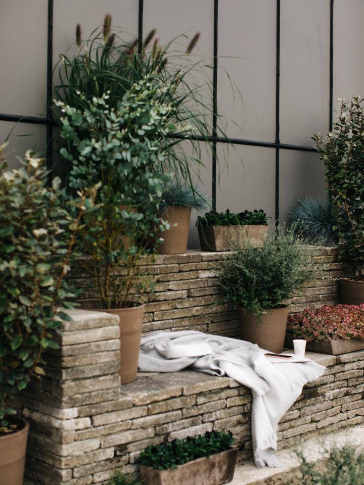 BBH Street plants-8