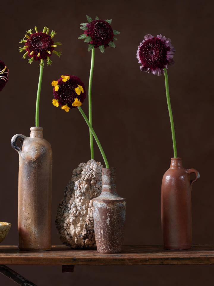 BBH_Trends_24_ME_vervreemde bloemen