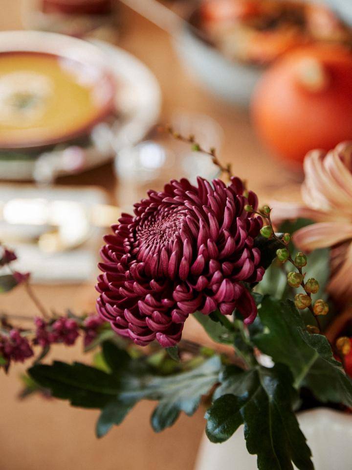 BBH_WEB_Autumn_Table_9O1A4790