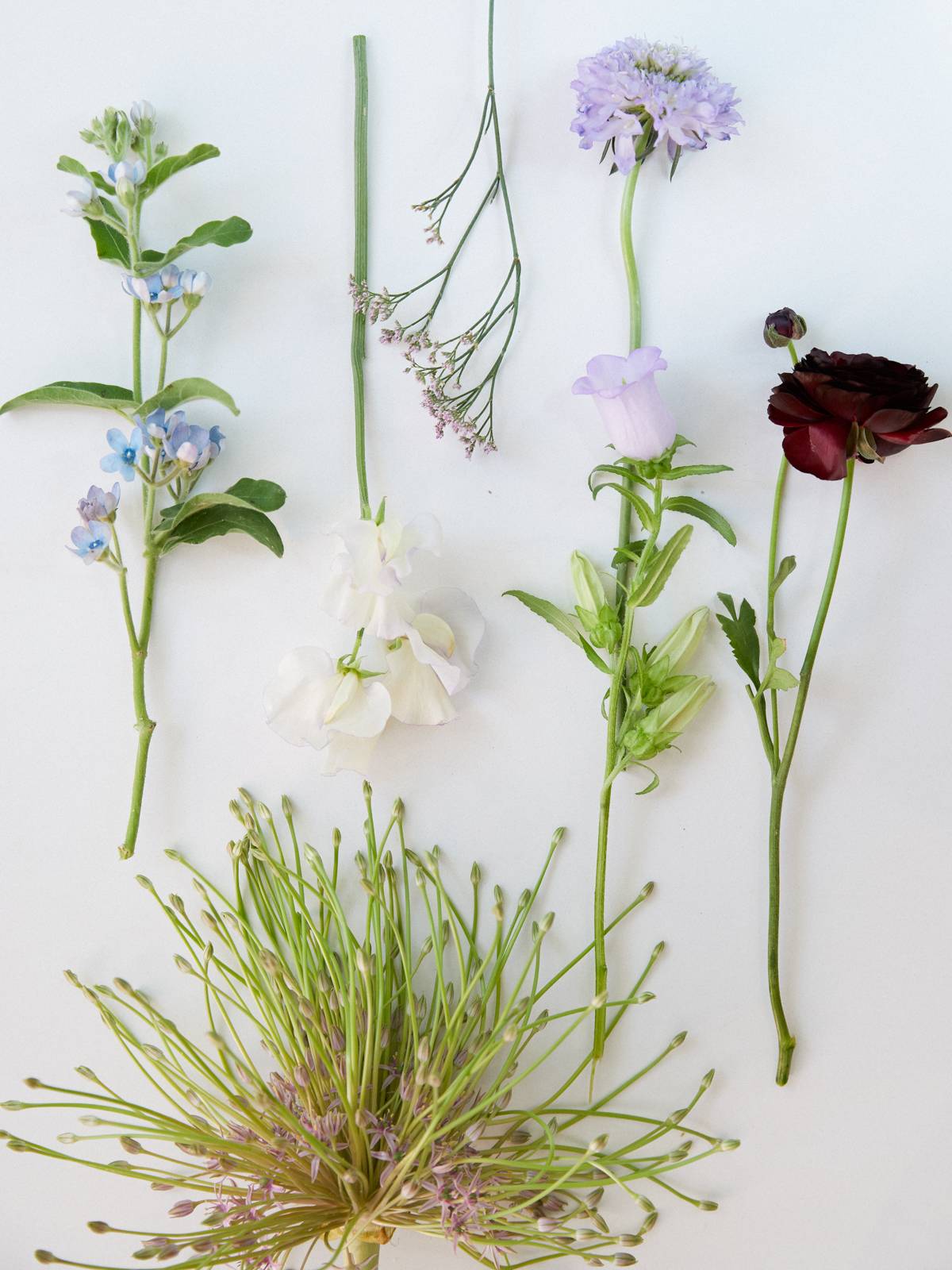 BBH_WEB_Easter bouquet recipe_BBH20230177