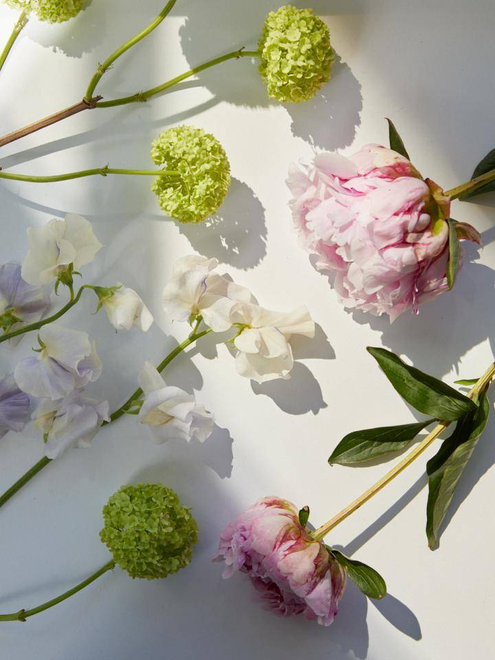 Lentebloemen