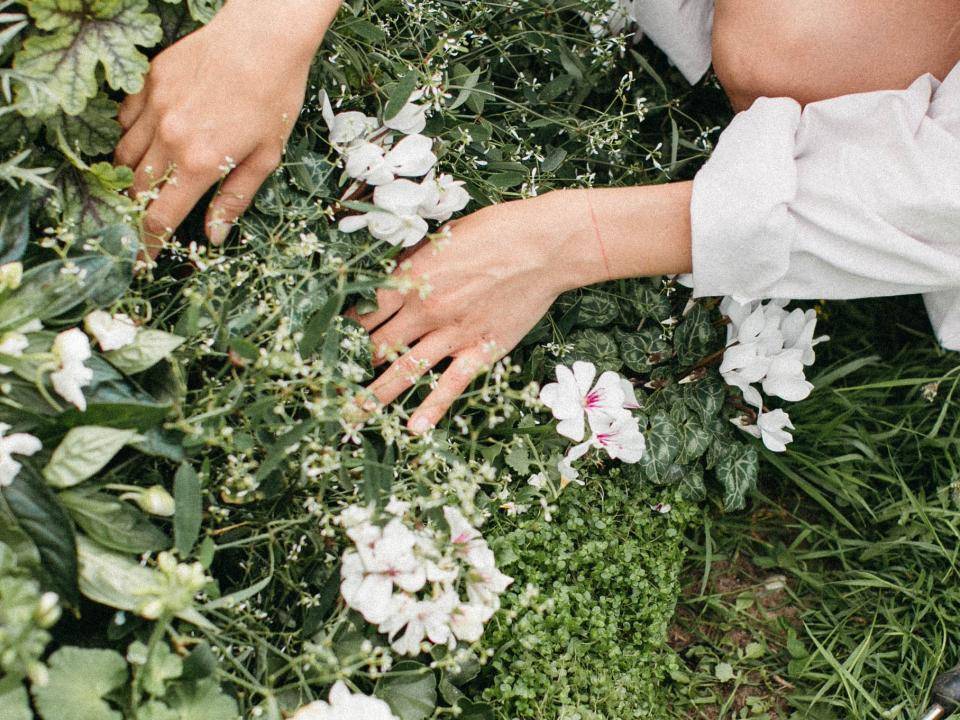bbh_plantmasters_no3_001_0