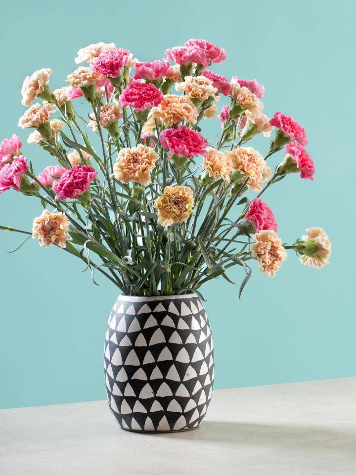 Vaas met roze en perzik anjers tegen een turquoise achtergrond.