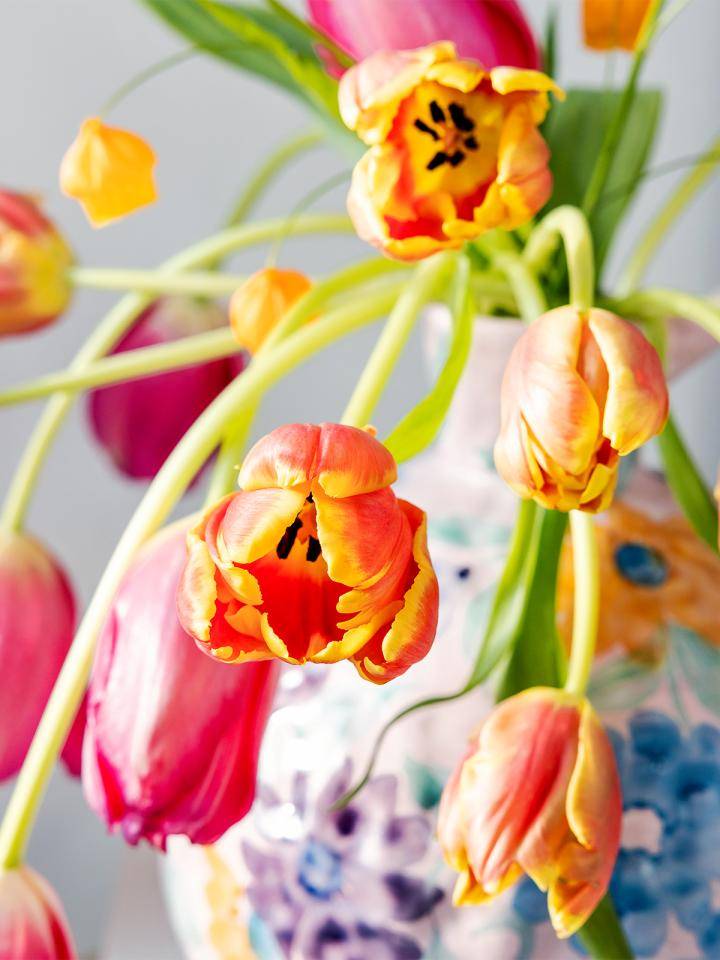 Tulpen