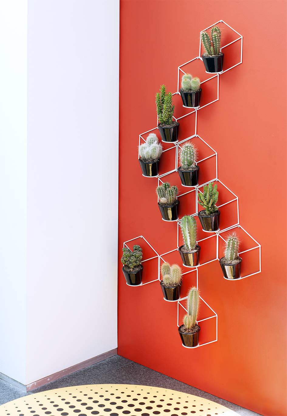 Wanddecoratie met cactussen in geometrisch rek