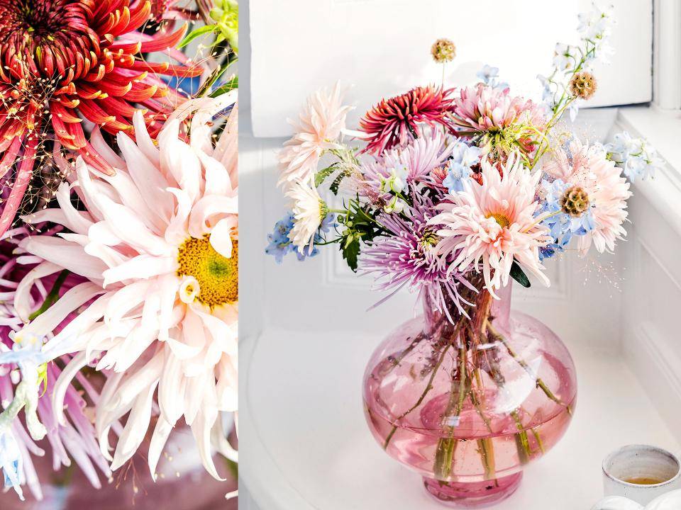 Chrysant