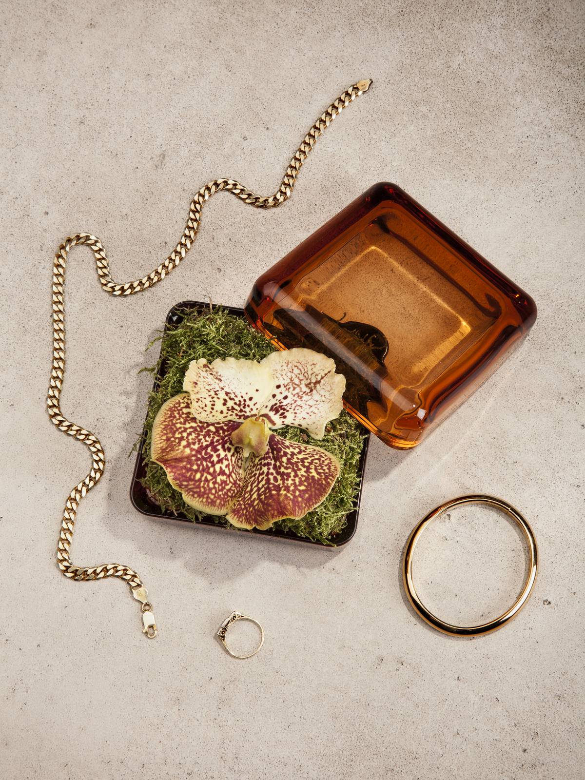 Giftbox orchidee