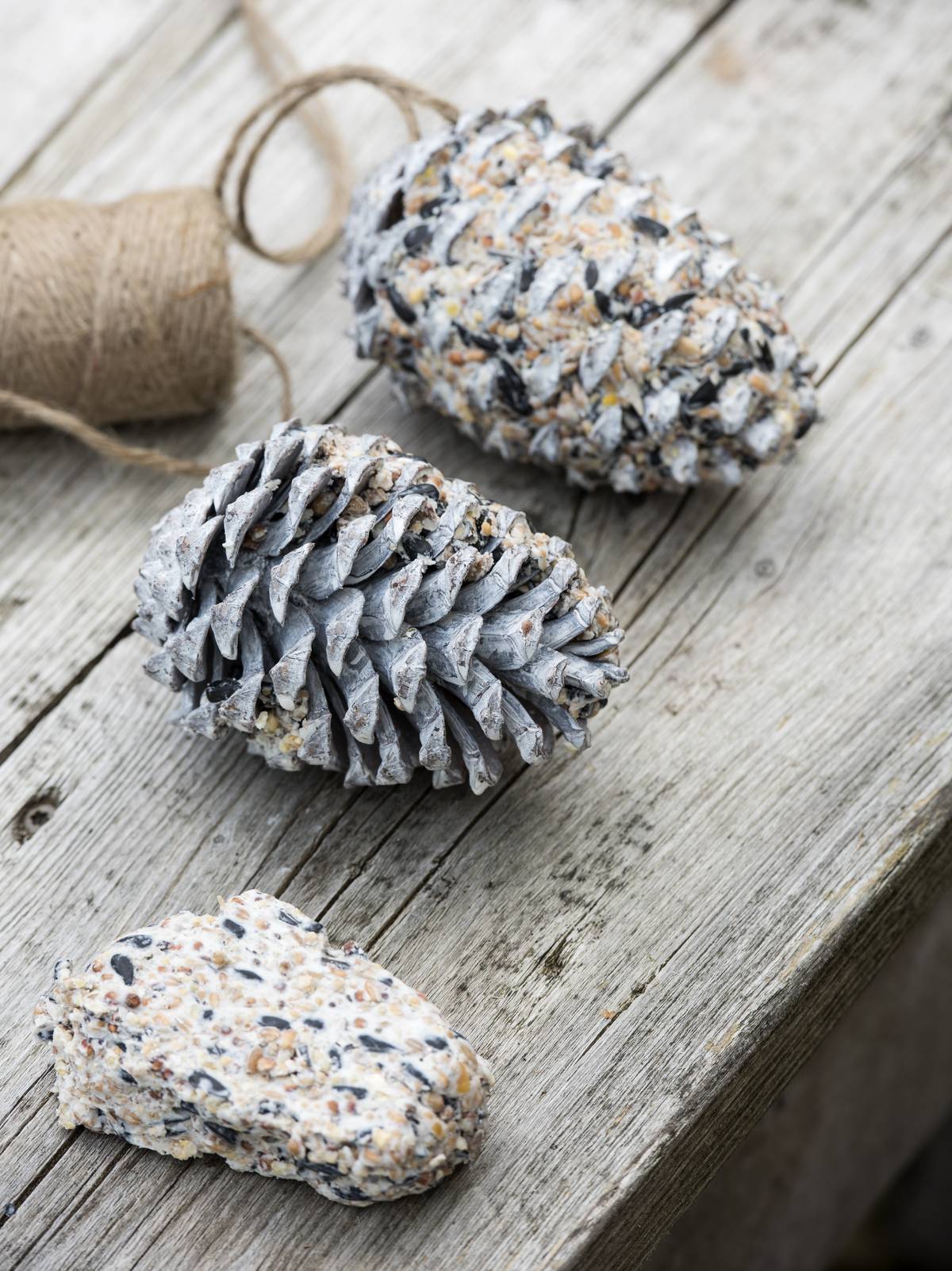 DIY: verwen de vogels met zaden en bessen - f2a0f556-b014-4cae-a4e8-3b69cc97d62a