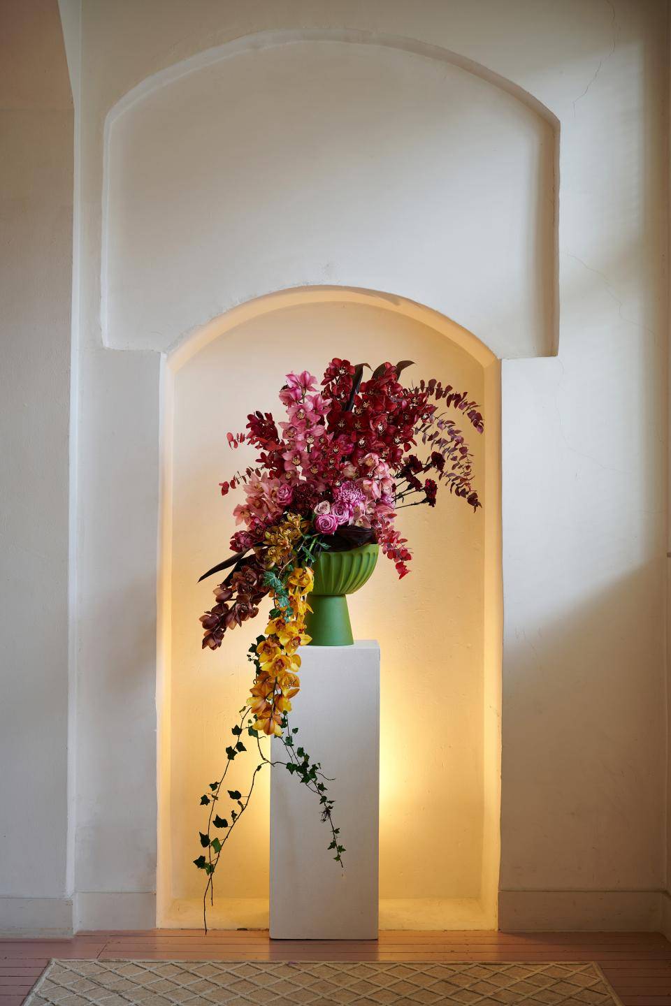 Drama met Cymbidium