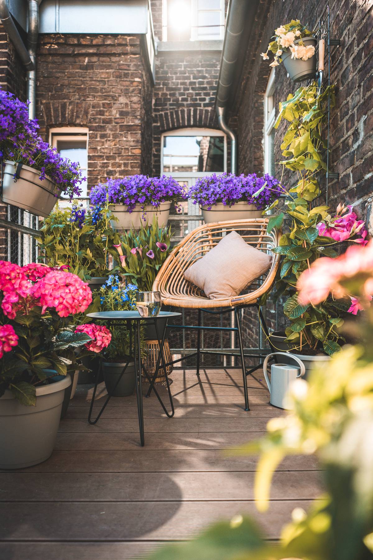 Een zomertuin of -balkon die bijdraagt aan de biodiversiteit | Mooiwatplantendoen - 96304437-7c6e-4fcc-a33b-4ec65e3bc9a2