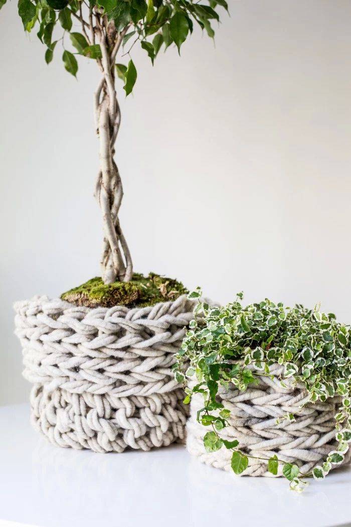 Planten in gebreide manden
