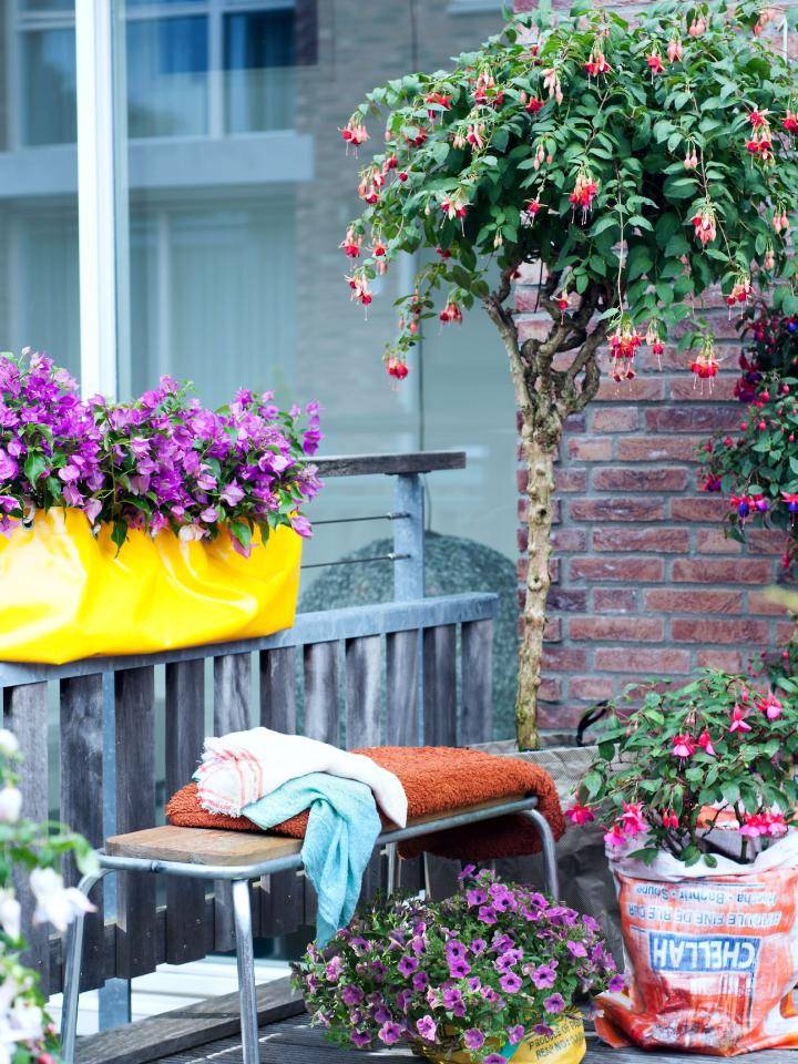Kleine buitenruimte met houten bank, oranje deken, blauwe handdoek en verschillende bloeiende planten.