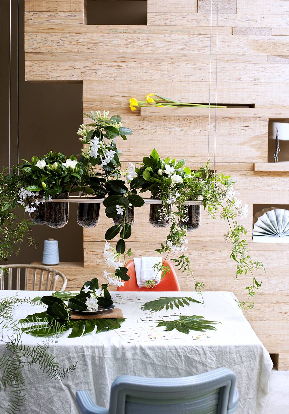 Groene hangende planten boven de eettafel