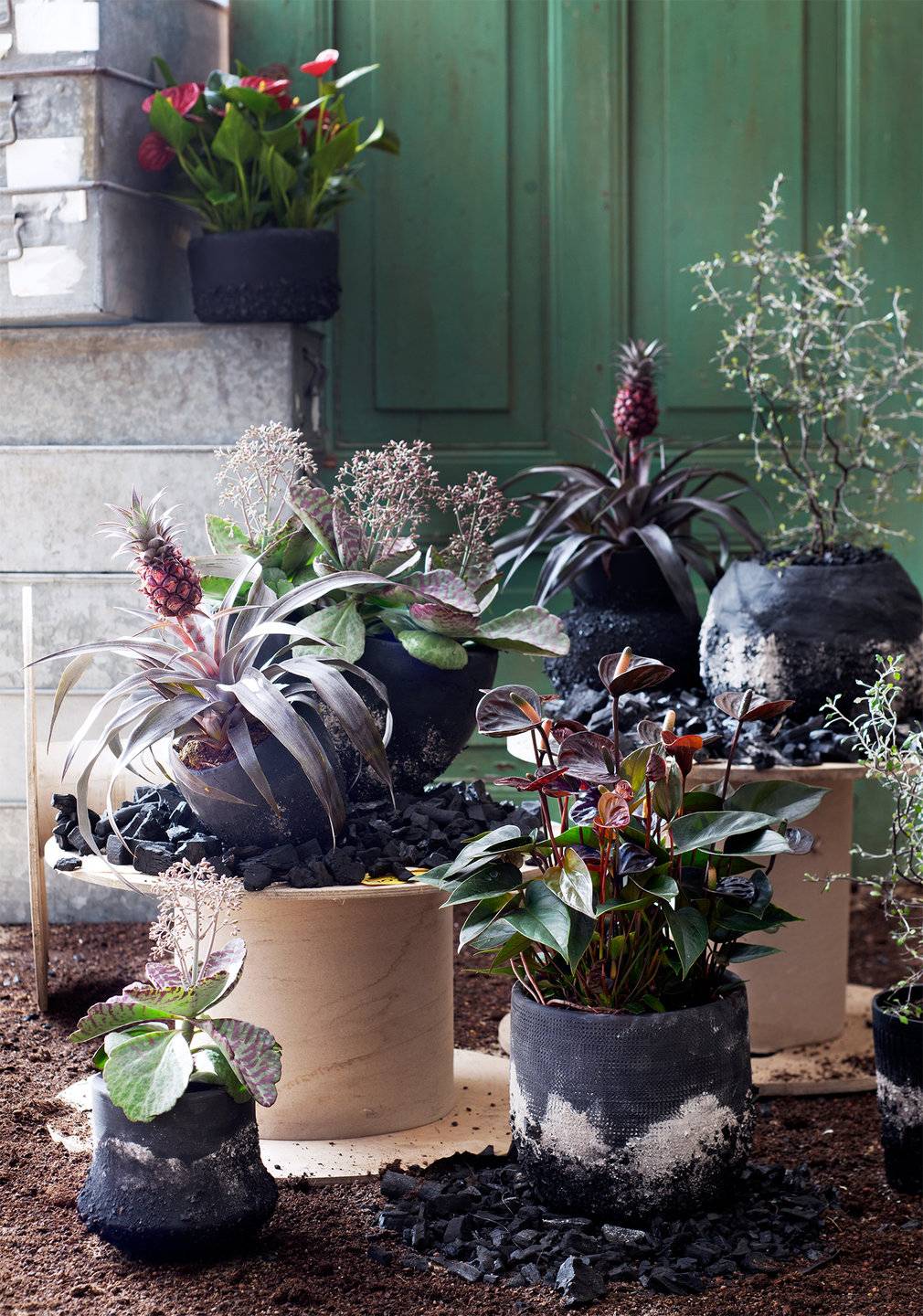 Planten in handgemaakte potten