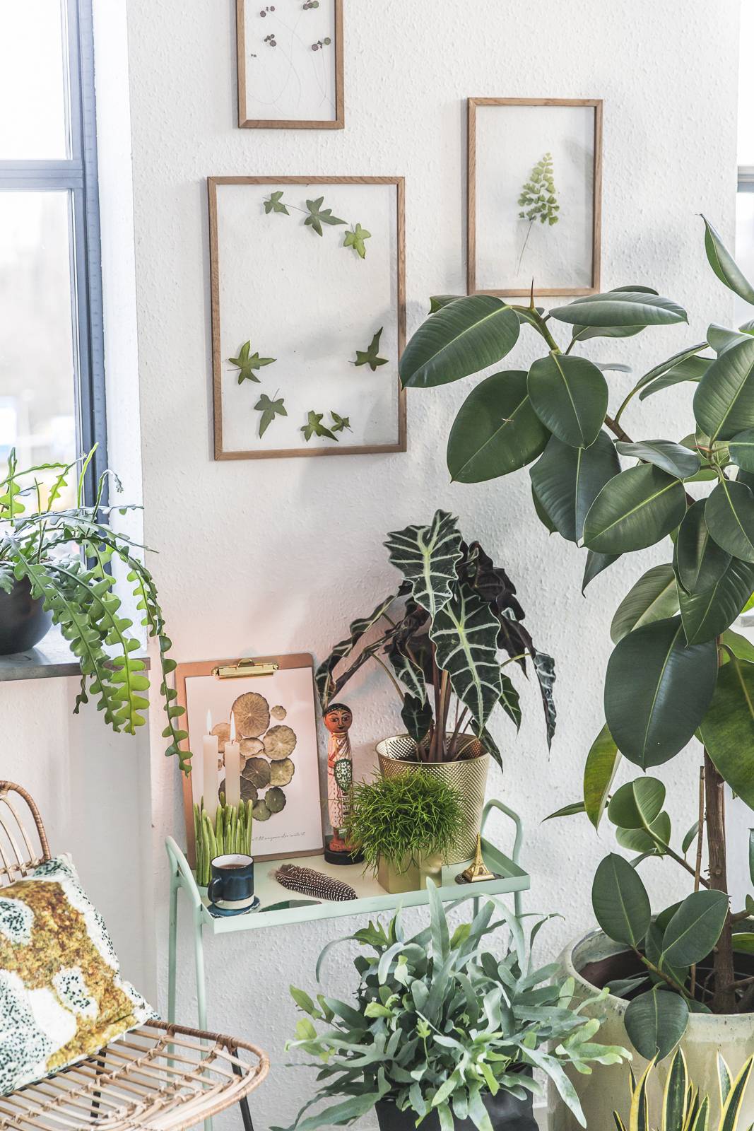 Groene plantenhoek met kamerplanten