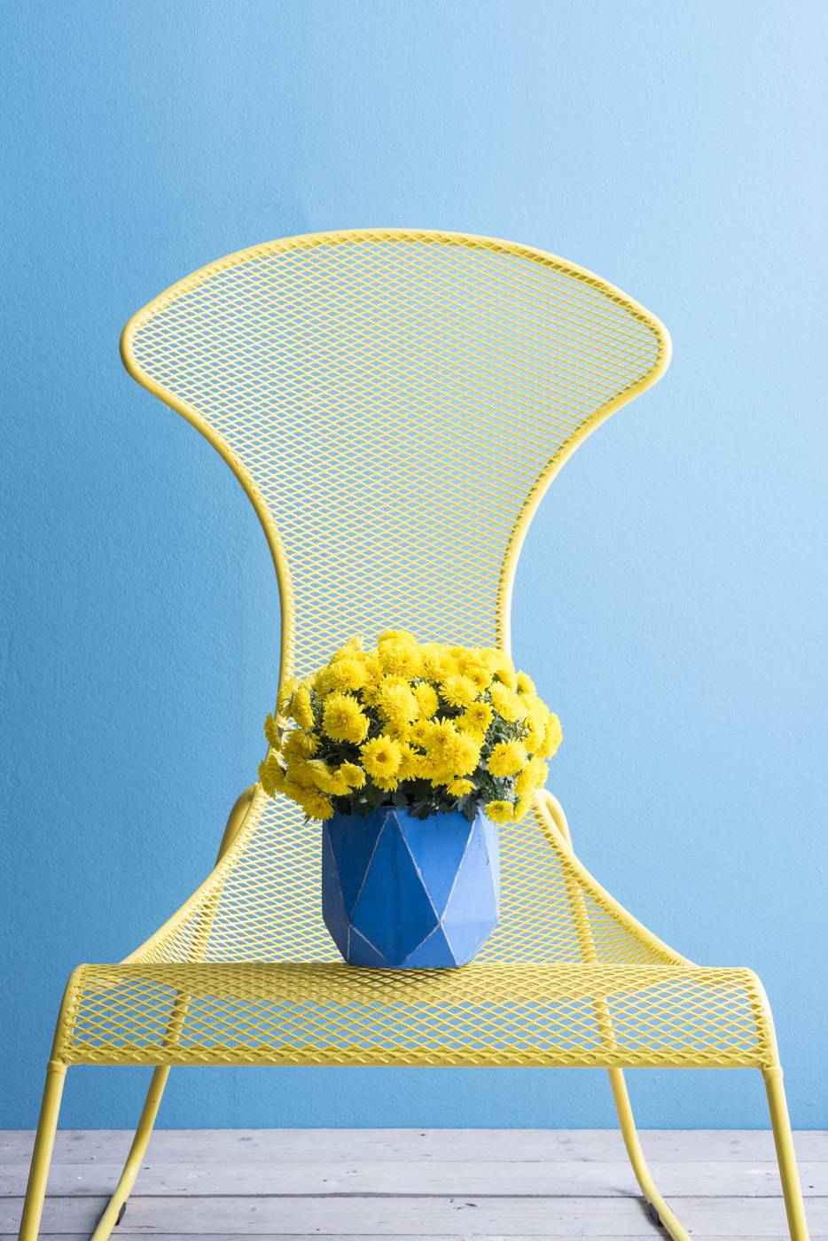 Bolchrysant
