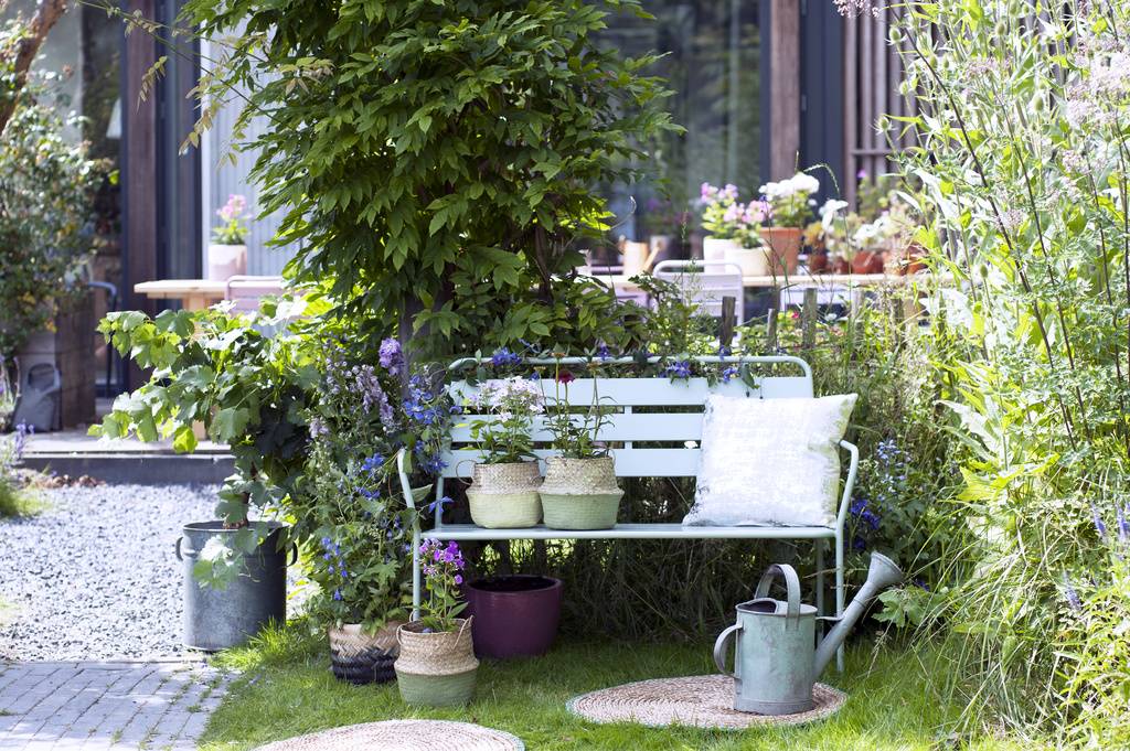 Groene tuin met bloemen