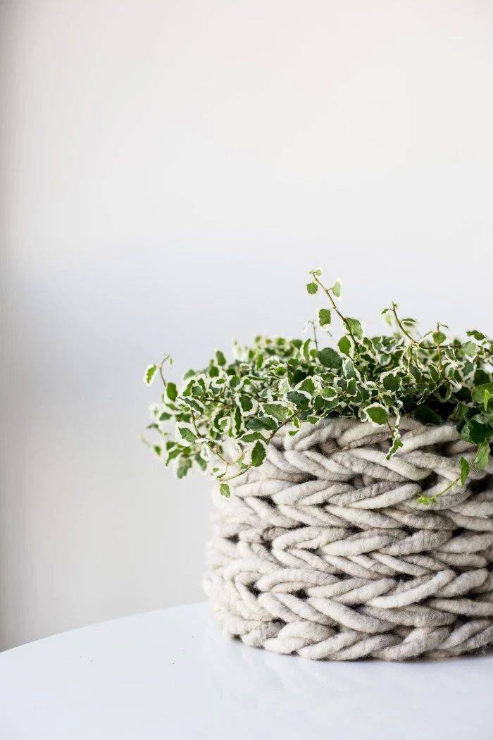 groene plant in gebreide mand