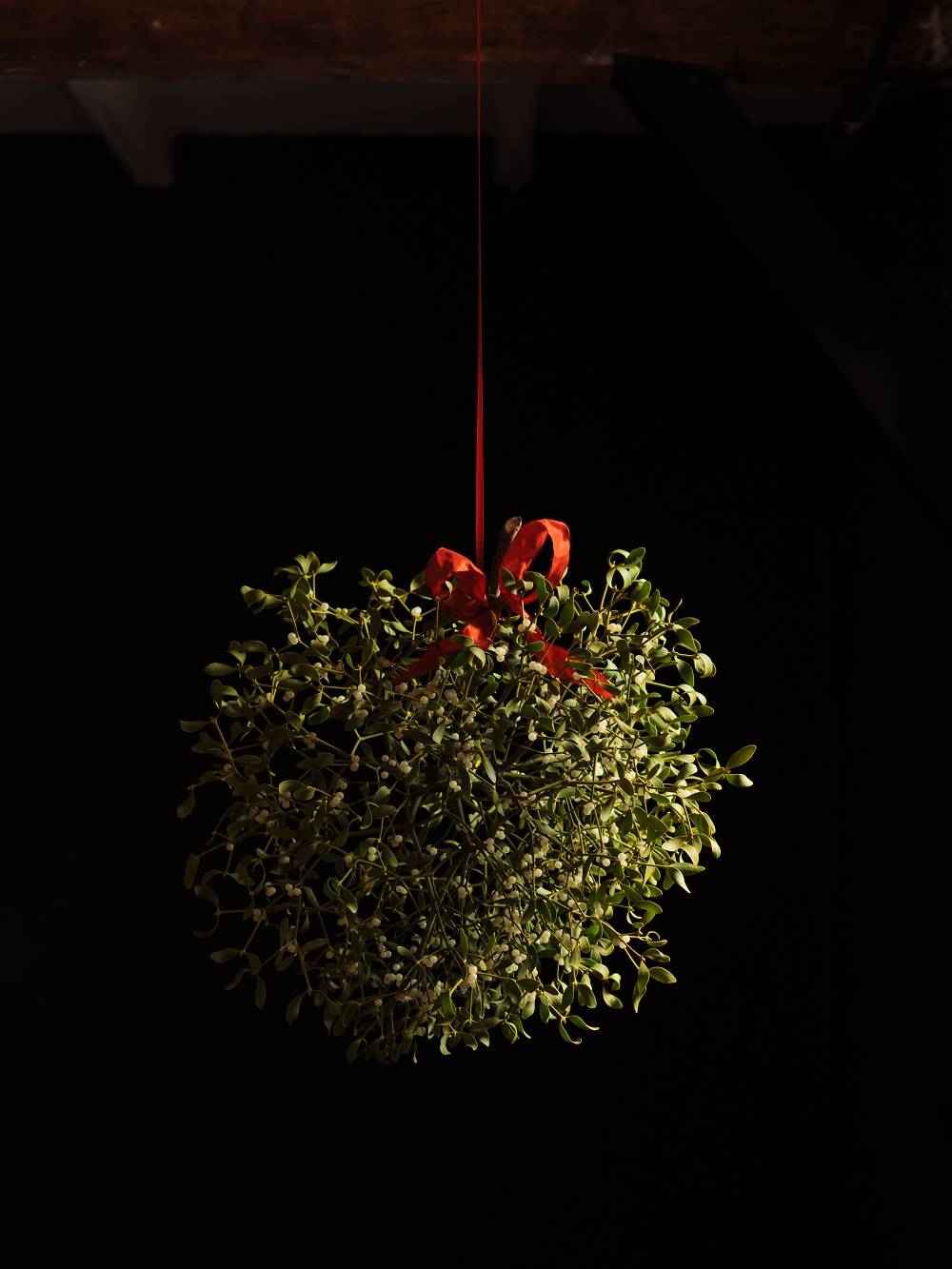 Mistletoetak met rood lint