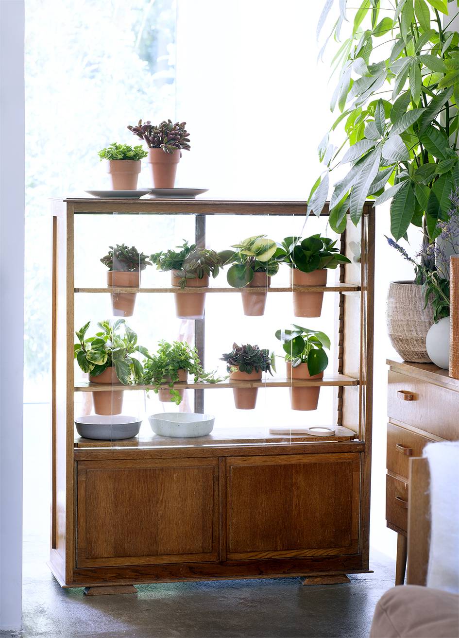 Houten kast omgebouwd tot kas