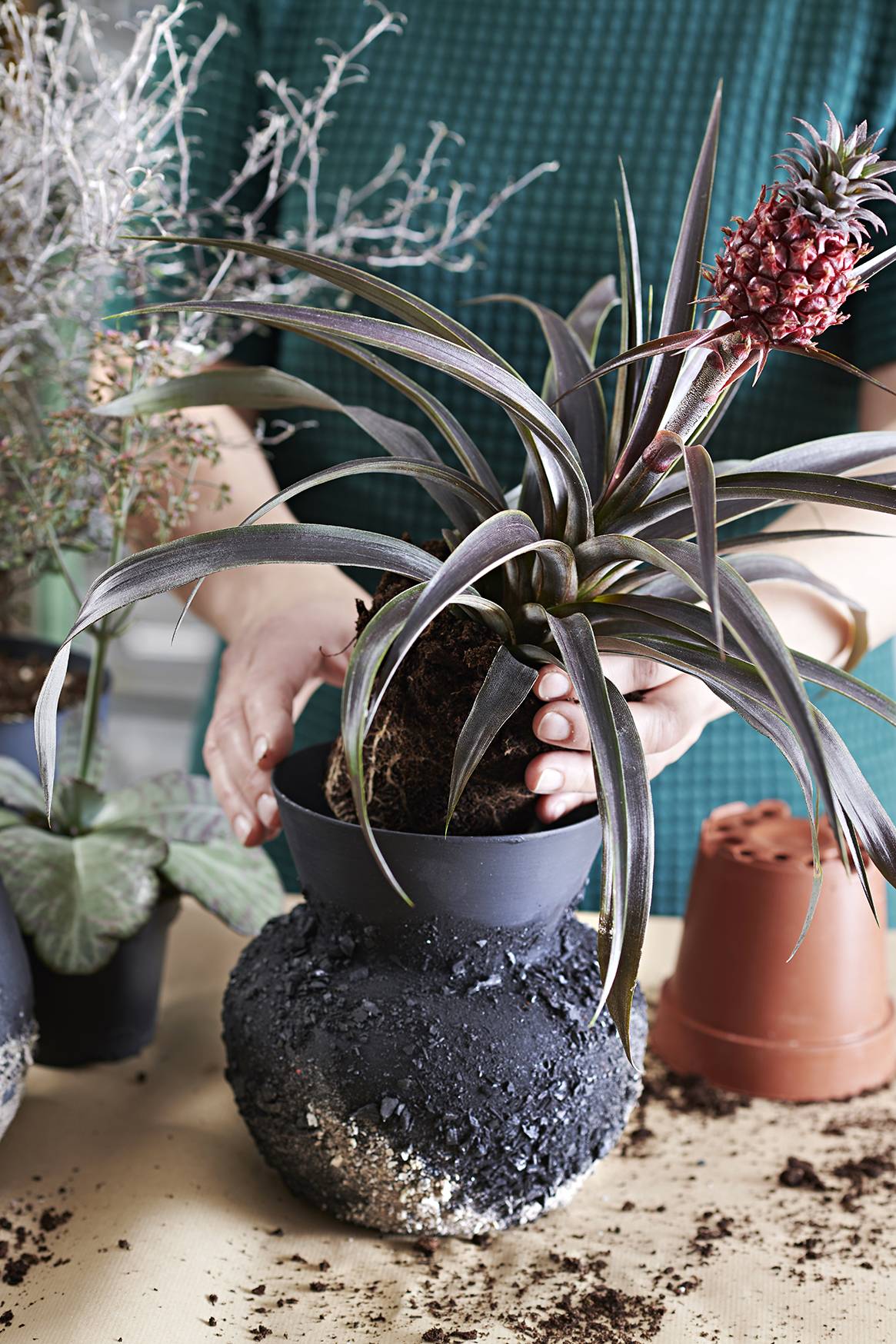 Plant in zelfgemaakte pot