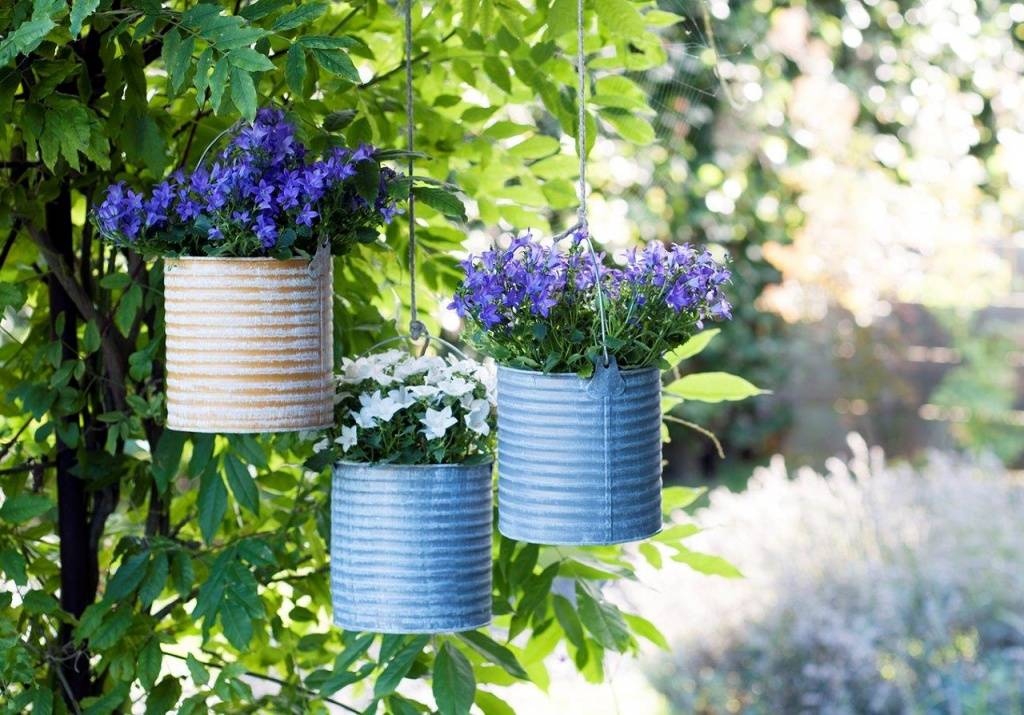 Hangende campanula in metalen blikken