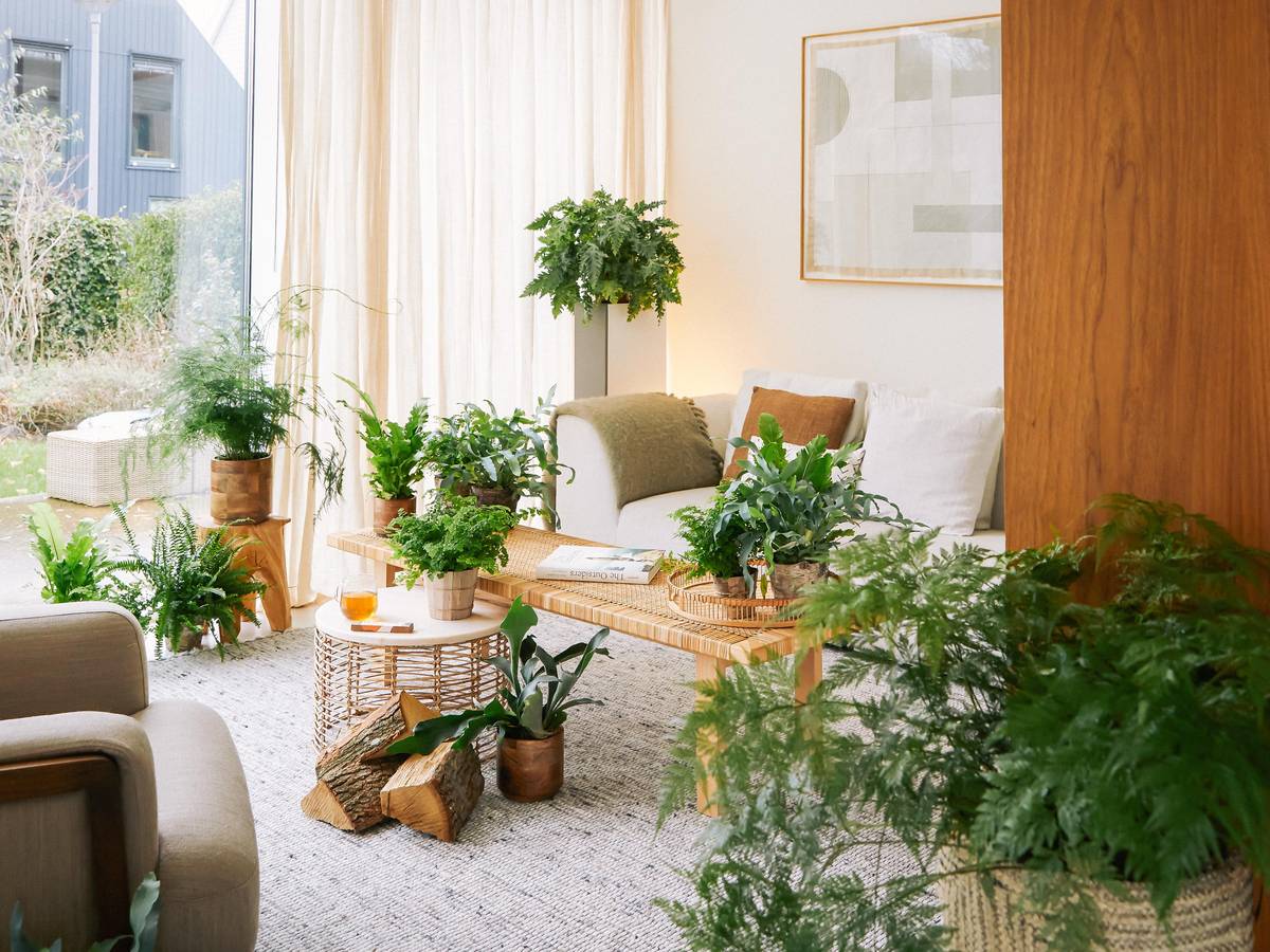 ONLINE_Cabin_BBH Plant 2021 december0188