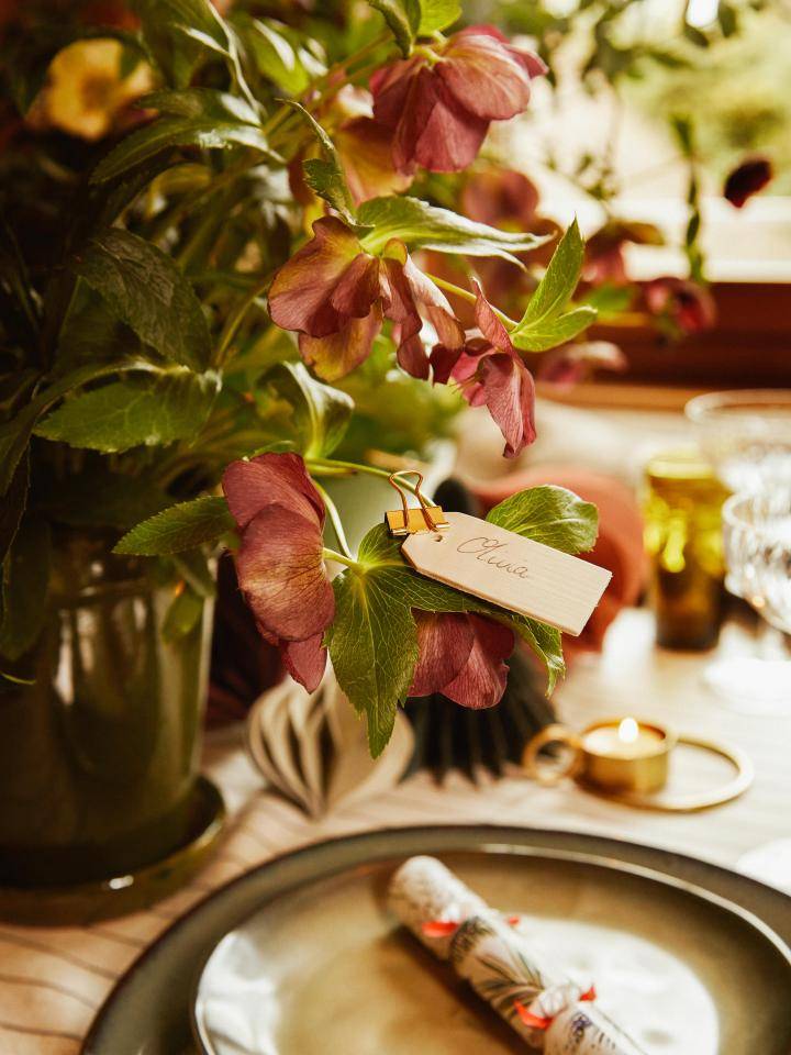 ONLINE_Plant_Tablesetting-37352021-11