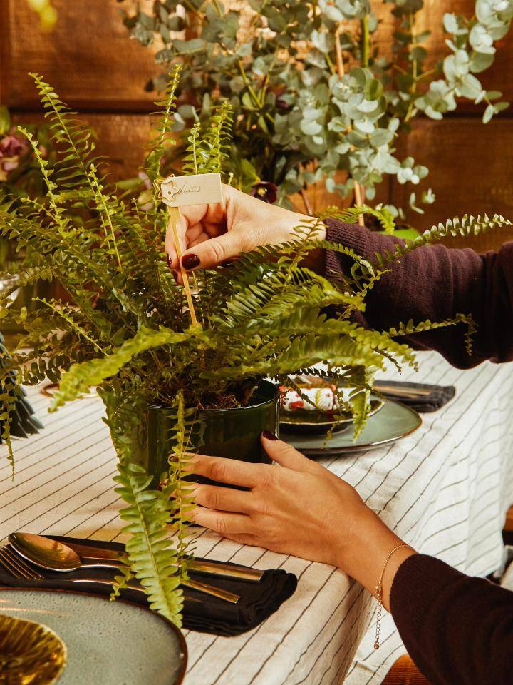 ONLINE_Plant_Tablesetting-37812021-11