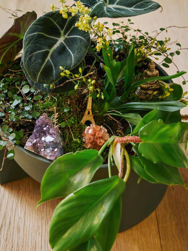 ONLINE_Wunderammer_BBH Plant 2021 december0299