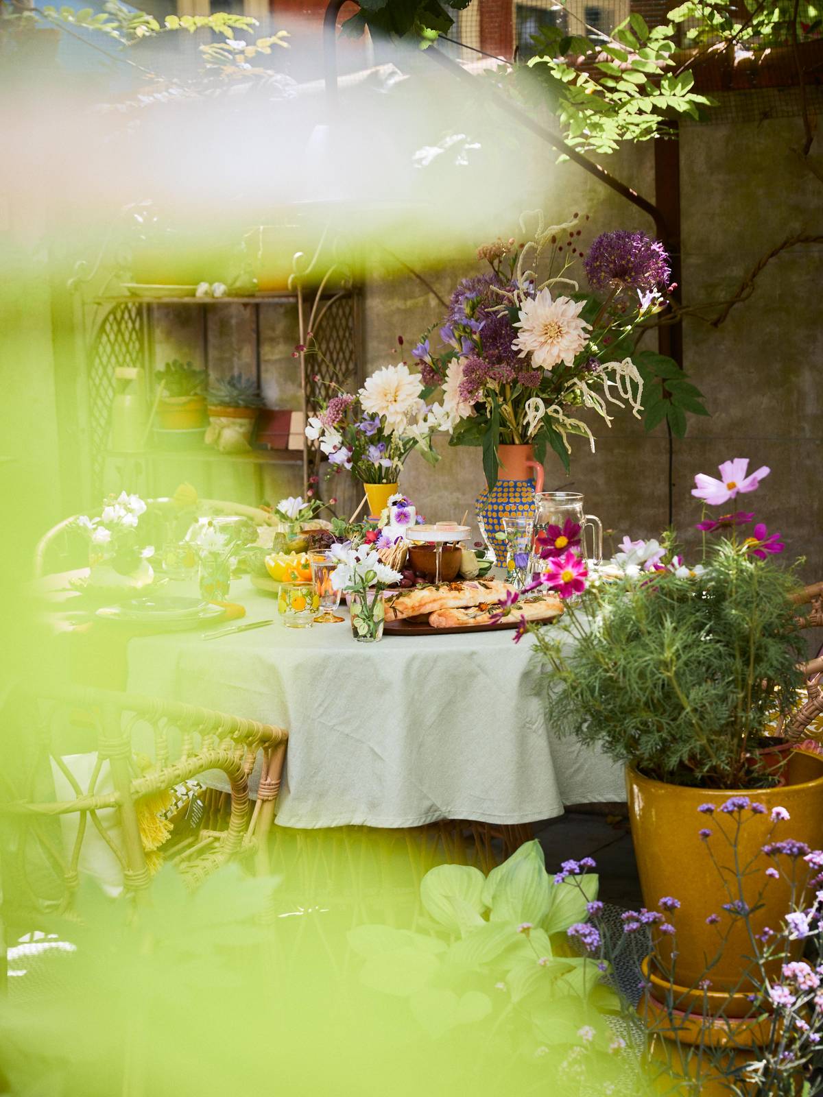 ONLINE_food_table__C9A8062brightbreezy_