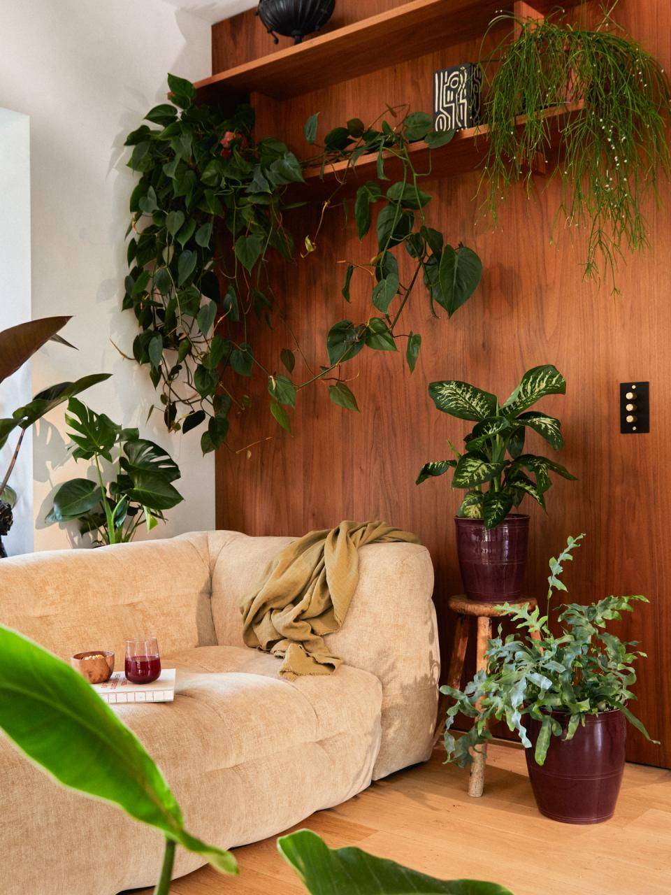 Wintershoot planten woonkamer