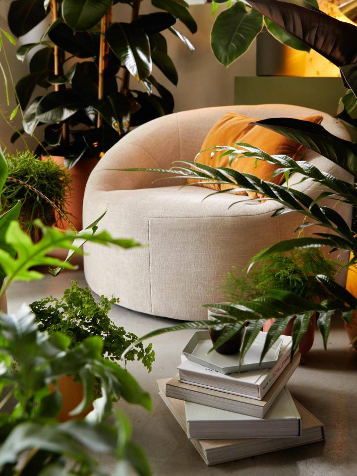 Online_BBH 20243657_Plant corner_0