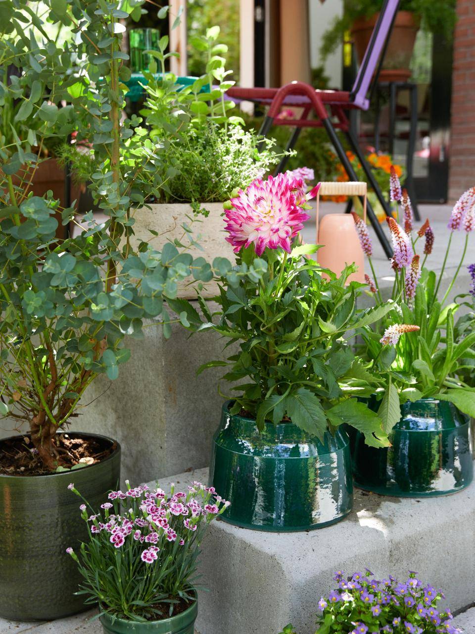 Online_Garden_setting_0W6A9371