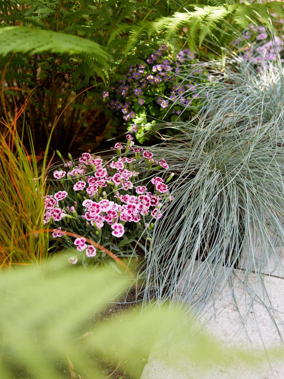 Online_Garden_setting_0W6A9439
