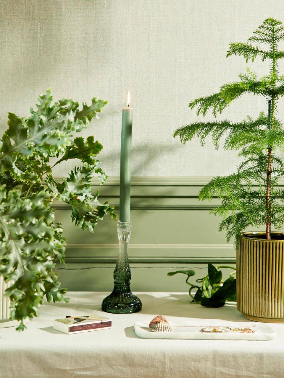 Groene kaars met kandelaar omringd door groene planten